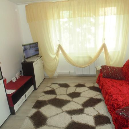 Lary Apartament Suceava Exterior photo