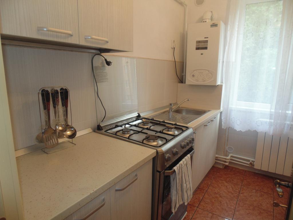 Lary Apartament Suceava Room photo
